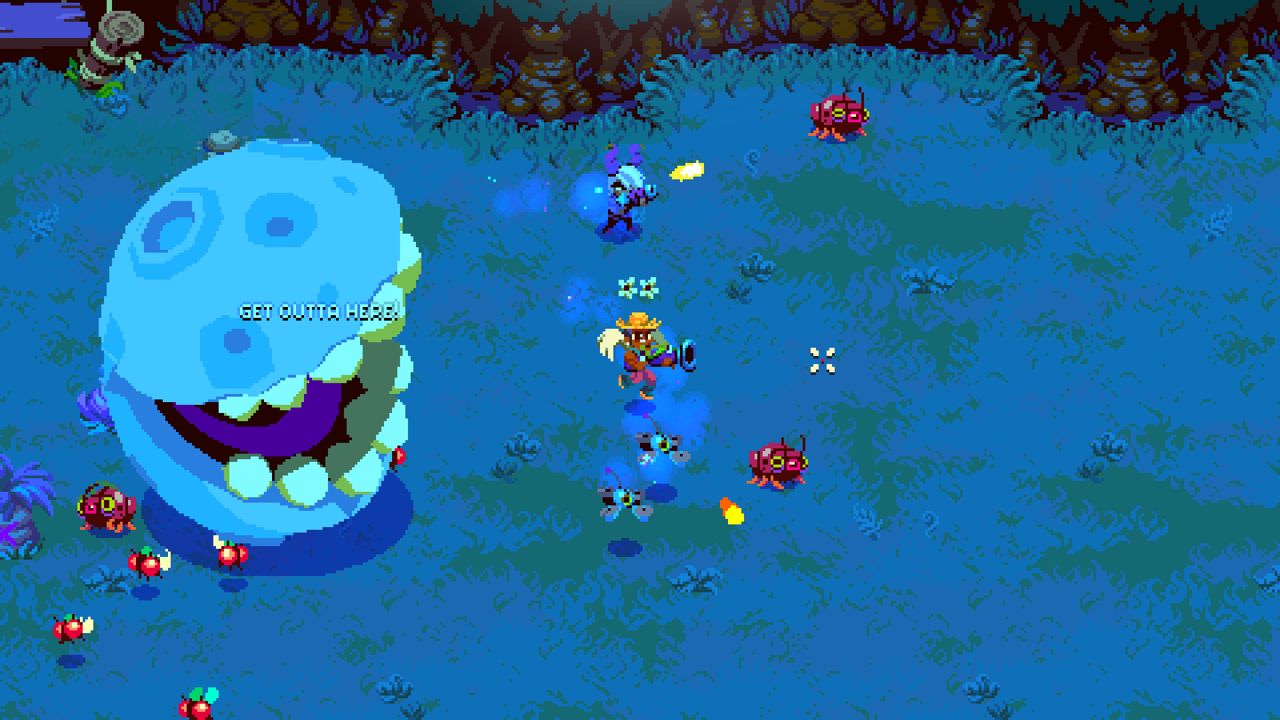 Image non disponible