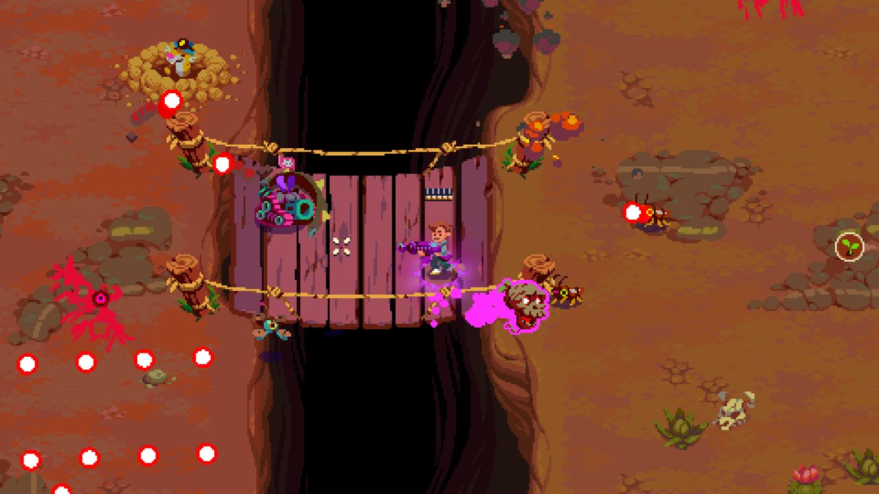 Image non disponible