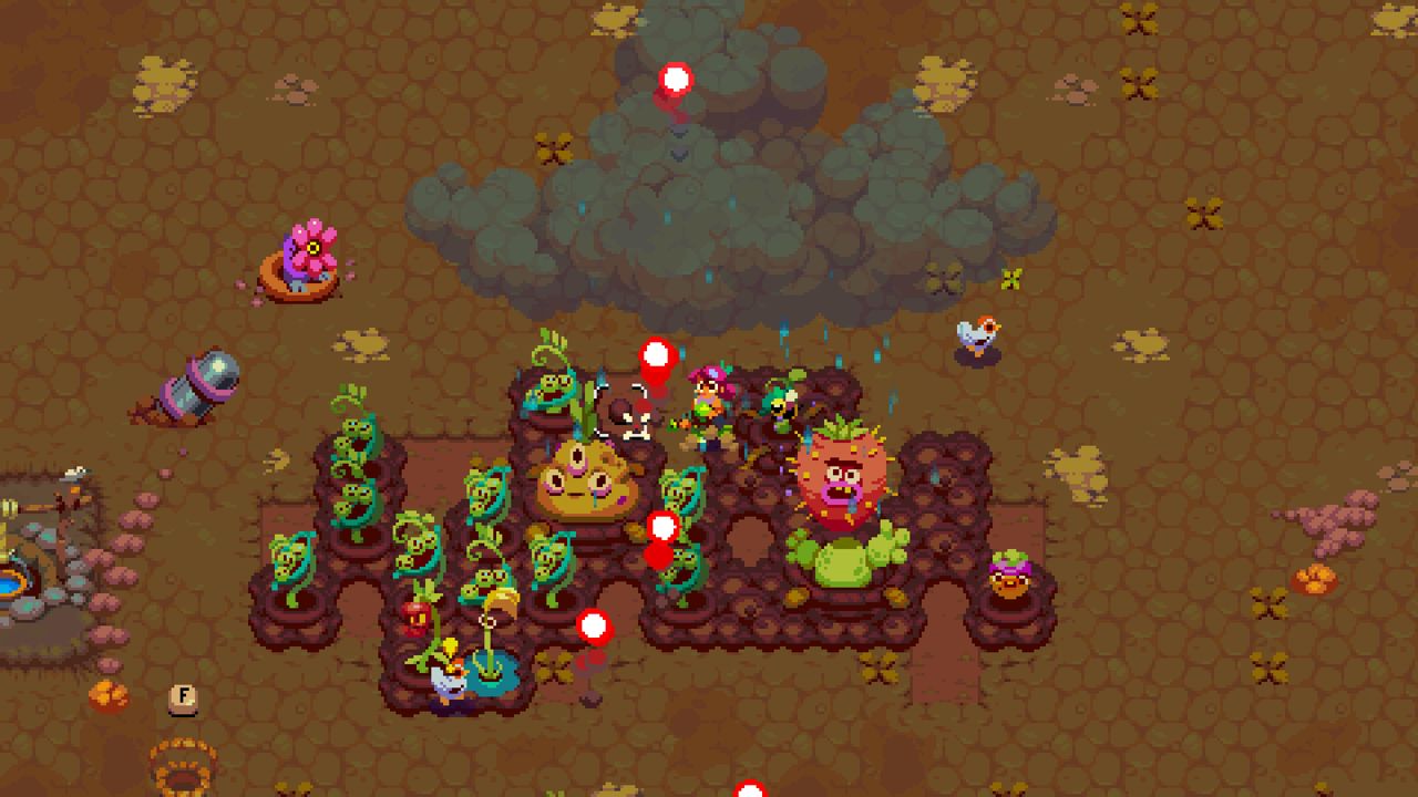 Image non disponible