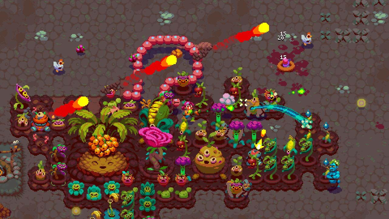 Image non disponible